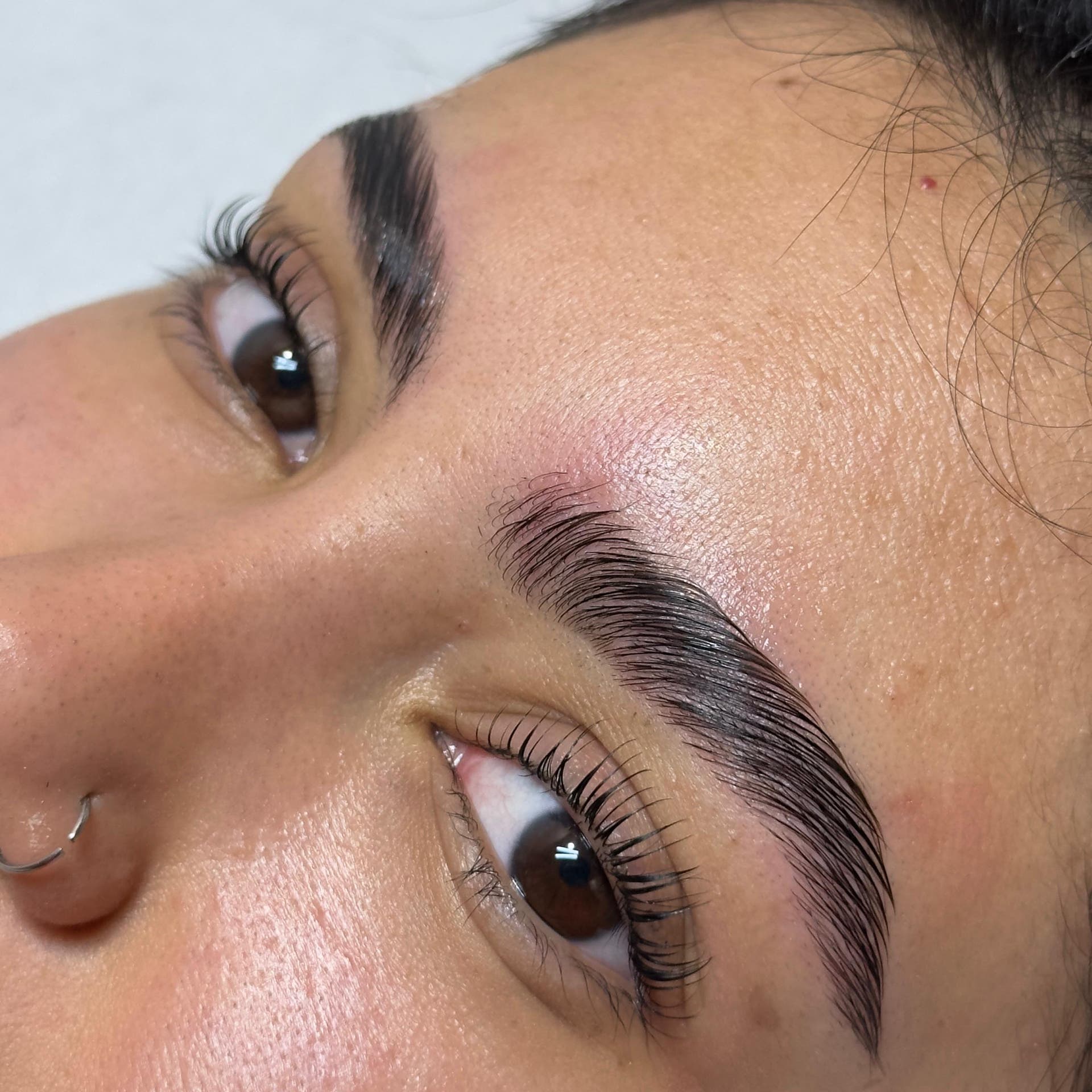 Detailed lash and brow look from the House of Lashè portfolio